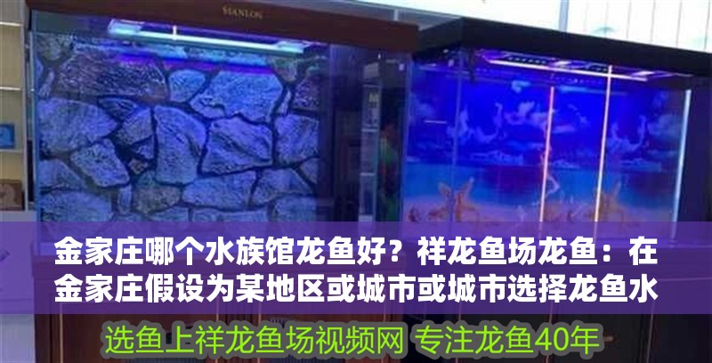金家莊哪個水族館龍魚好？祥龍魚場龍魚：在金家莊假設為某地區或城市或城市選擇龍魚水族館或魚場