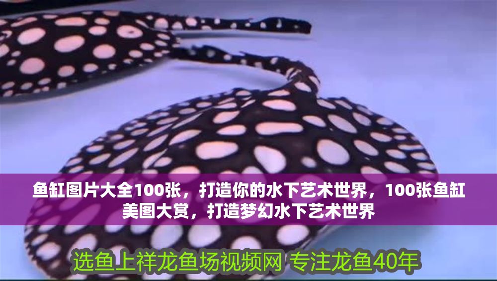 魚缸圖片大全100張，打造你的水下藝術世界，100張魚缸美圖大賞，打造夢幻水下藝術世界