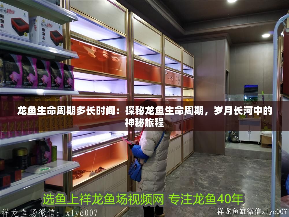 龍魚生命周期多長時間：探秘龍魚生命周期，歲月長河中的神秘旅程