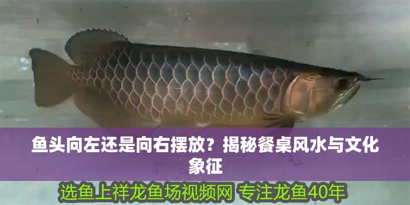 魚頭向左還是向右擺放？揭秘餐桌風水與文化象征