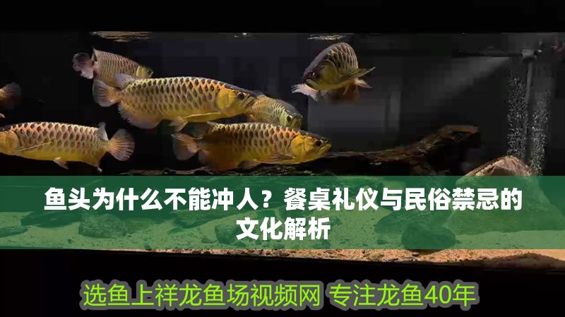 魚頭為什么不能沖人？餐桌禮儀與民俗禁忌的文化解析