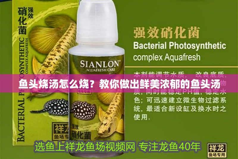 魚頭燒湯怎么燒？教你做出鮮美濃郁的魚頭湯