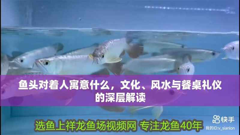 魚頭對著人寓意什么，文化、風水與餐桌禮儀的深層解讀