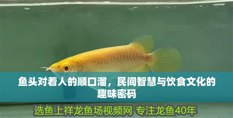 魚頭對著人的順口溜，民間智慧與飲食文化的趣味密碼