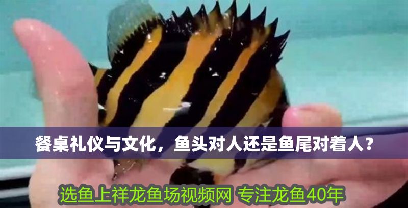 餐桌禮儀與文化，魚頭對人還是魚尾對著人？