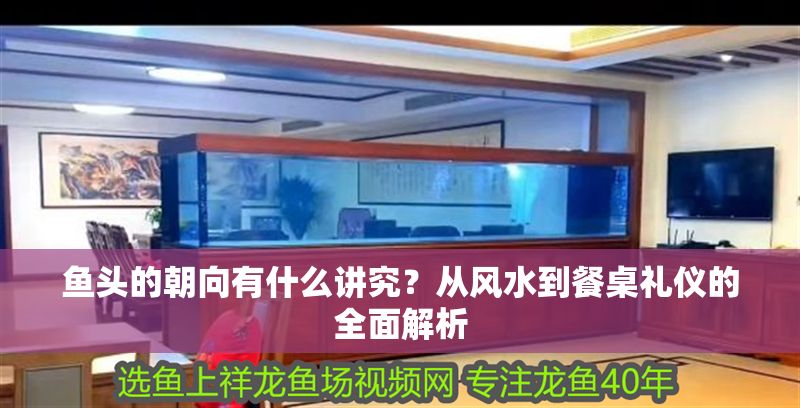 魚頭的朝向有什么講究？從風水到餐桌禮儀的全面解析