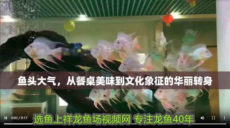 魚頭大氣，從餐桌美味到文化象征的華麗轉身