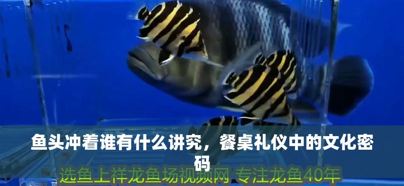 魚頭沖著誰有什么講究，餐桌禮儀中的文化密碼