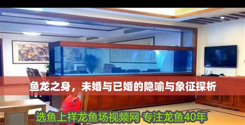 魚龍之身，未婚與已婚的隱喻與象征探析