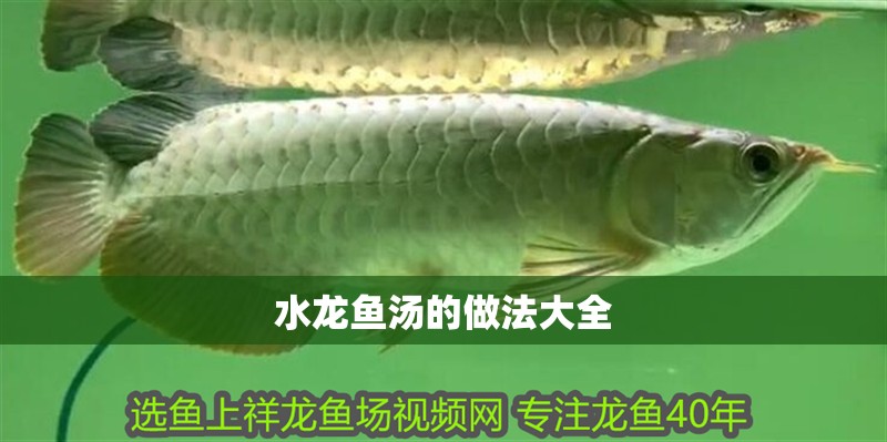 水龍魚湯的做法大全