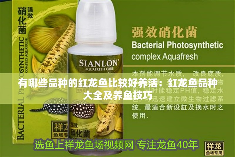 有哪些品種的紅龍魚比較好養活：紅龍魚品種大全及養魚技巧
