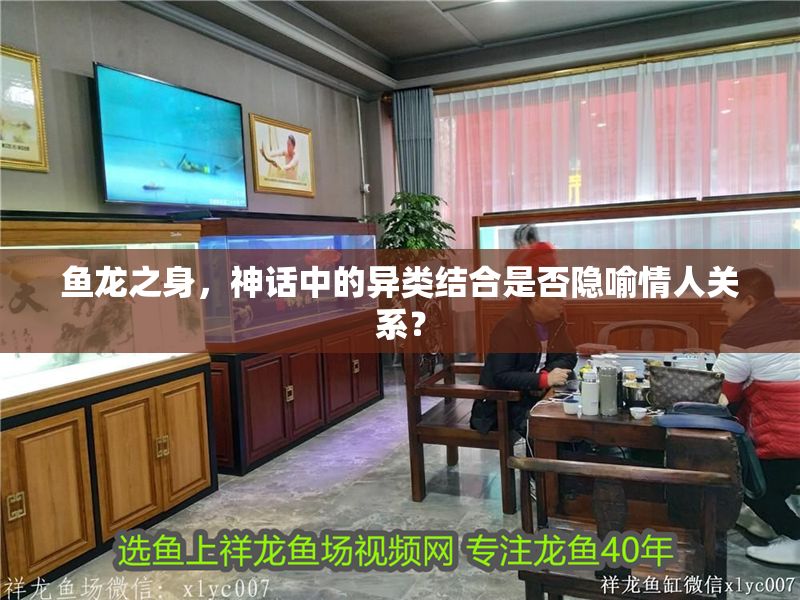 魚龍之身，神話中的異類結合是否隱喻情人關系？