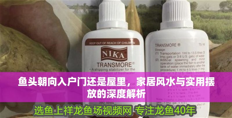 魚頭朝向入戶門還是屋里，家居風水與實用擺放的深度解析