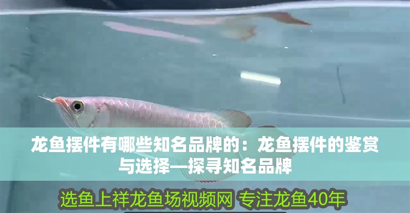龍魚擺件有哪些知名品牌的：龍魚擺件的鑒賞與選擇—探尋知名品牌
