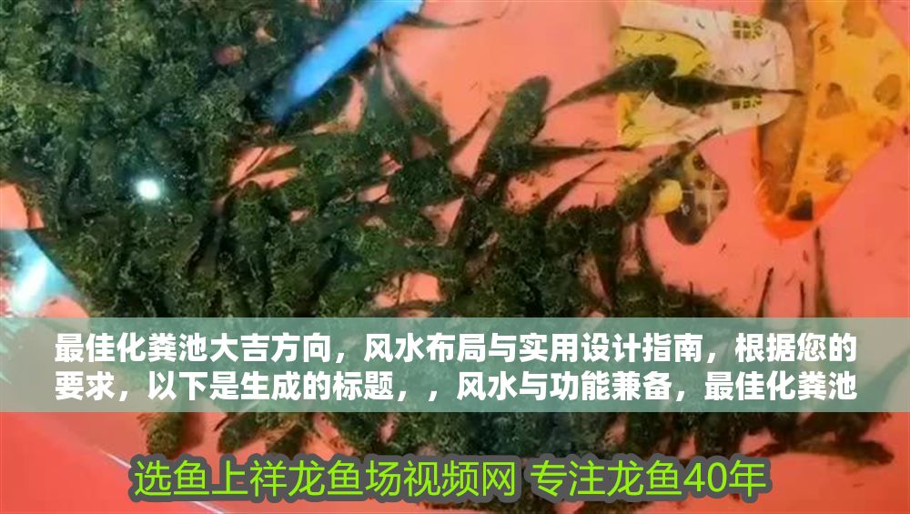 最佳化糞池大吉方向，風水布局與實用設計指南，根據您的要求，以下是生成的標題，，風水與功能兼備，最佳化糞池方位布局及實用設計全解析