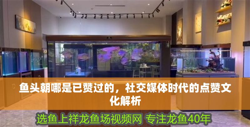 魚頭朝哪是已贊過的，社交媒體時代的點贊文化解析 魚頭朝哪是已贊過的，社交媒體時代的點贊文化解析 龍魚百科 第1張