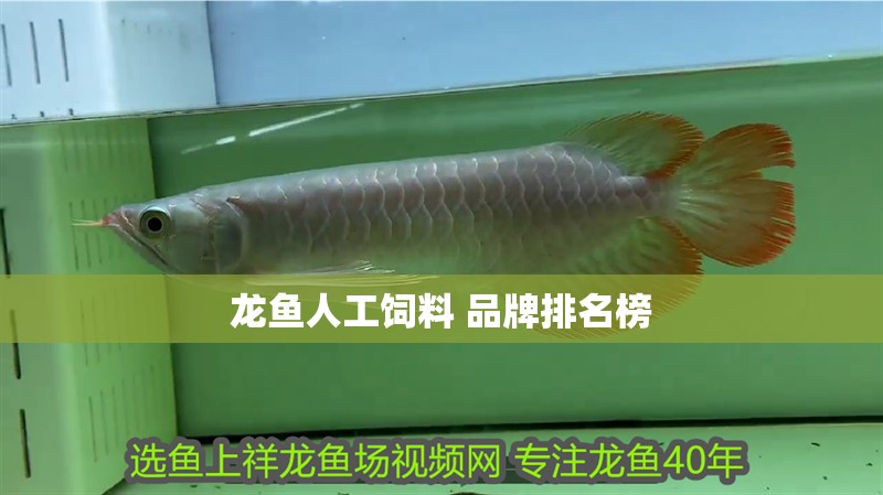 龍魚人工飼料 品牌排名榜