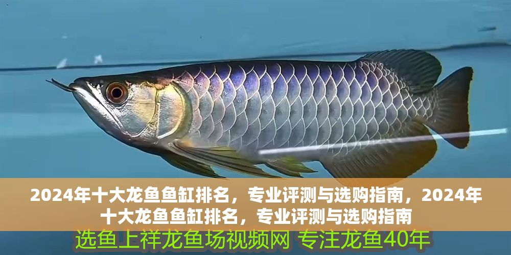 2024年十大龍魚(yú)魚(yú)缸排名，專(zhuān)業(yè)評(píng)測(cè)與選購(gòu)指南，2024年十大龍魚(yú)魚(yú)缸排名，專(zhuān)業(yè)評(píng)測(cè)與選購(gòu)指南