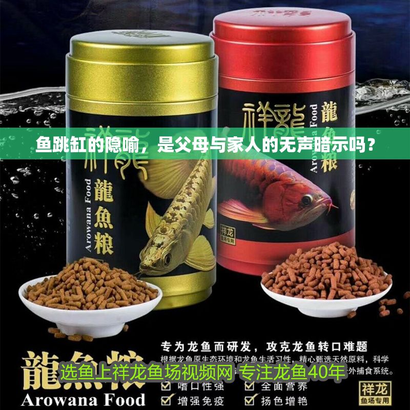 魚跳缸的隱喻，是父母與家人的無聲暗示嗎？ 魚跳缸的隱喻，是父母與家人的無聲暗示嗎？ 龍魚百科 第1張