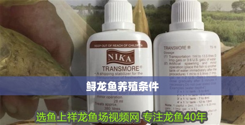 鱘龍魚養(yǎng)殖條件