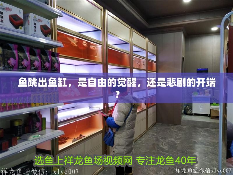 魚跳出魚缸，是自由的覺醒，還是悲劇的開端？