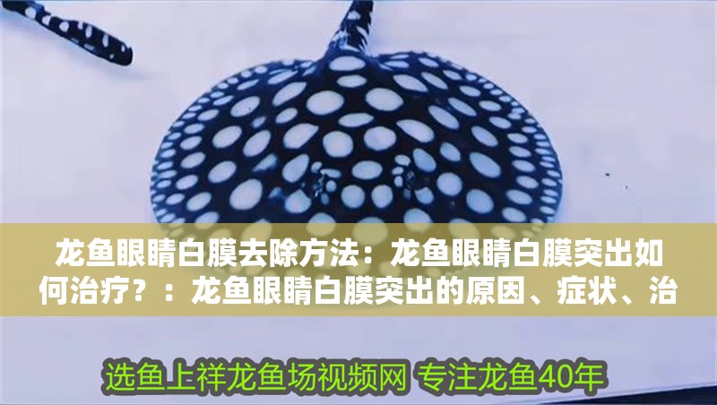 龍魚眼睛白膜去除方法：龍魚眼睛白膜突出如何治療？：龍魚眼睛白膜突出的原因、癥狀、治療方法以及預防措施