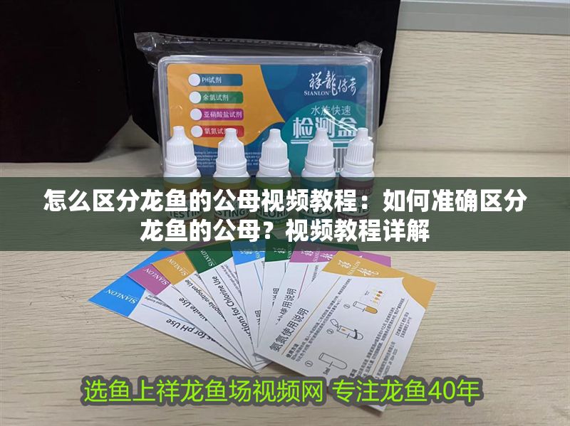 怎么區(qū)分龍魚的公母視頻教程：如何準(zhǔn)確區(qū)分龍魚的公母？視頻教程詳解