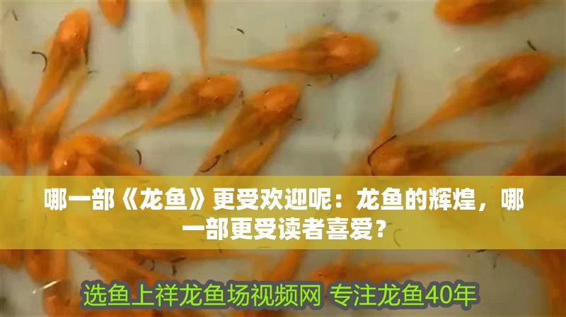 哪一部《龍魚》更受歡迎呢：龍魚的輝煌，哪一部更受讀者喜愛？