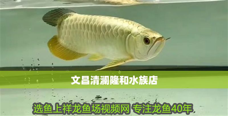 文昌清瀾隆和水族店