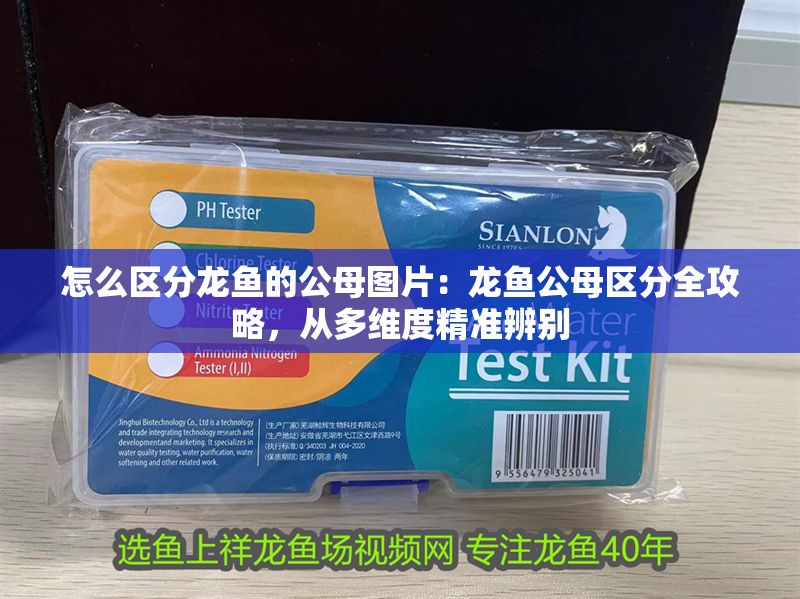 怎么區分龍魚的公母圖片：龍魚公母區分全攻略，從多維度精準辨別