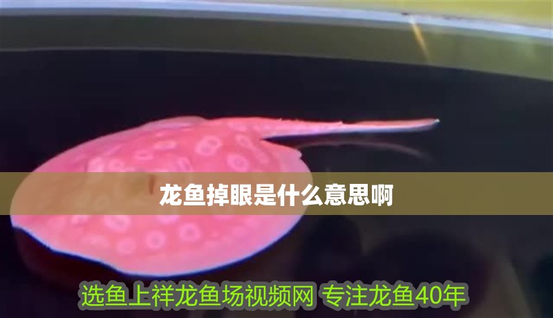 龍魚掉眼是什么意思啊
