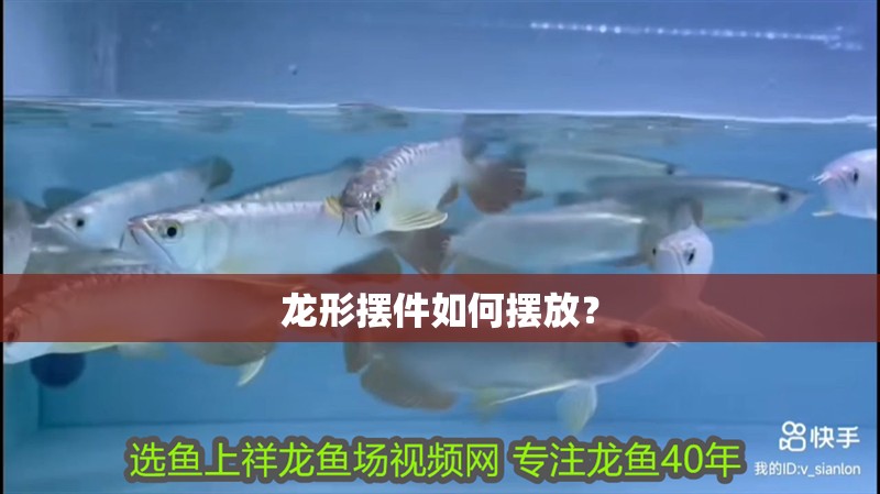 龍形擺件如何擺放？