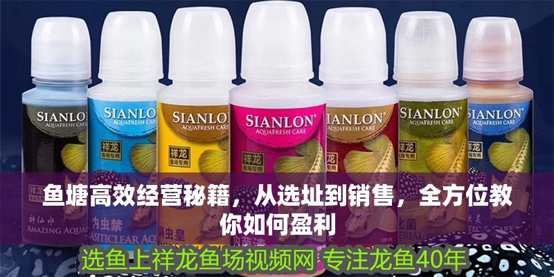 魚塘高效經營秘籍，從選址到銷售，全方位教你如何盈利