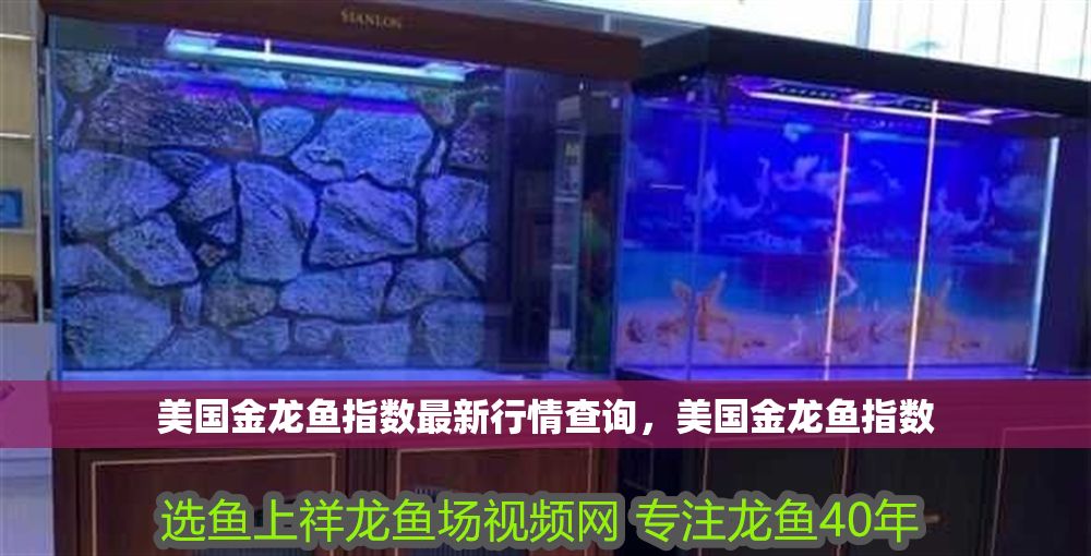 美國金龍魚指數最新行情查詢，美國金龍魚指數