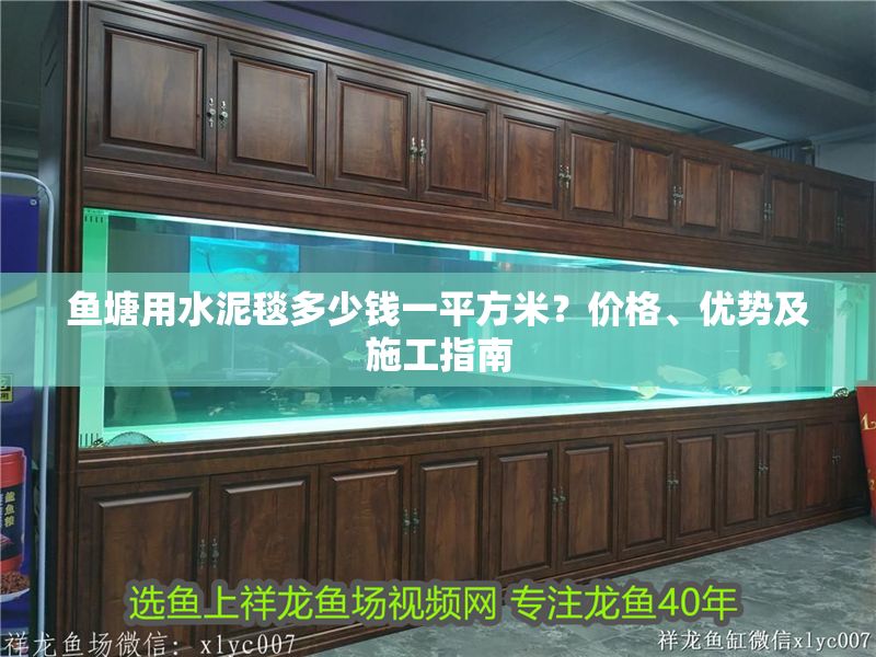 魚塘用水泥毯多少錢一平方米？價格、優(yōu)勢及施工指南