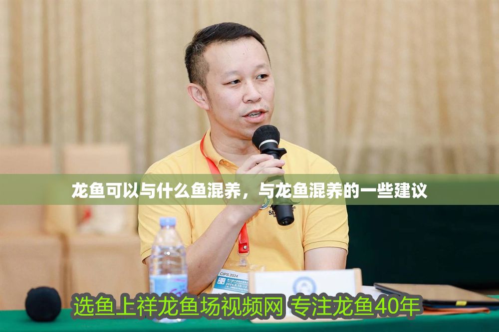 龍魚可以與什么魚混養，與龍魚混養的一些建議