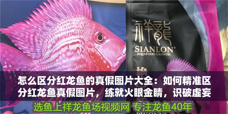 怎么區分紅龍魚的真假圖片大全：如何精準區分紅龍魚真假圖片，練就火眼金睛，識破虛妄表象