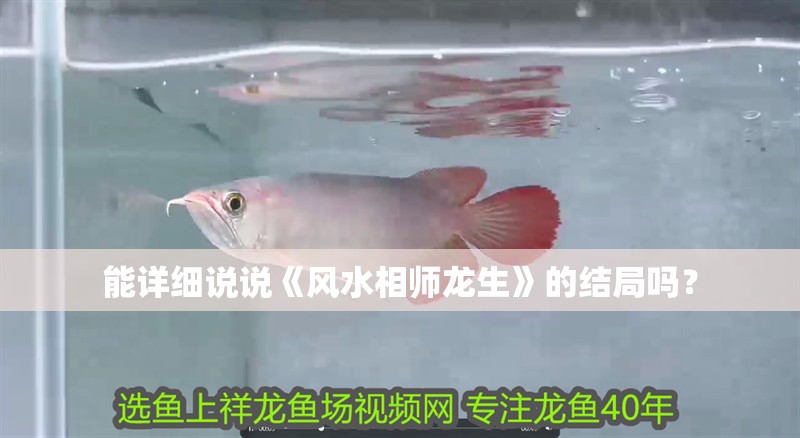 能詳細說說《風水相師龍生》的結(jié)局嗎？