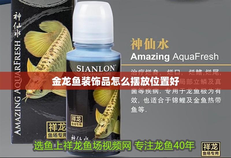金龍魚裝飾品怎么擺放位置好