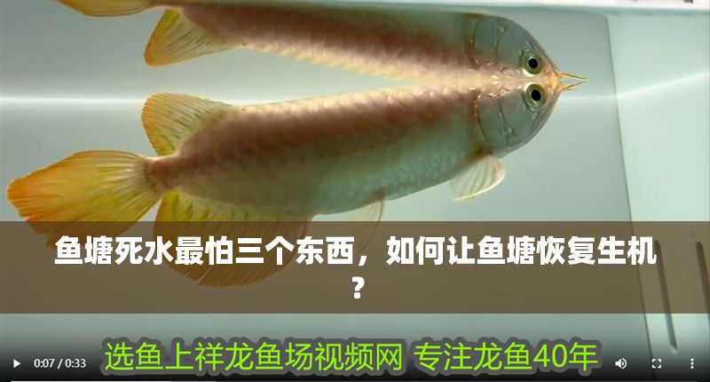 魚塘死水最怕三個東西，如何讓魚塘恢復生機？