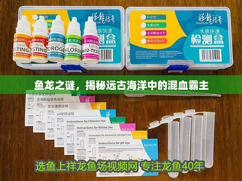 魚龍之謎，揭秘遠(yuǎn)古海洋中的混血霸主