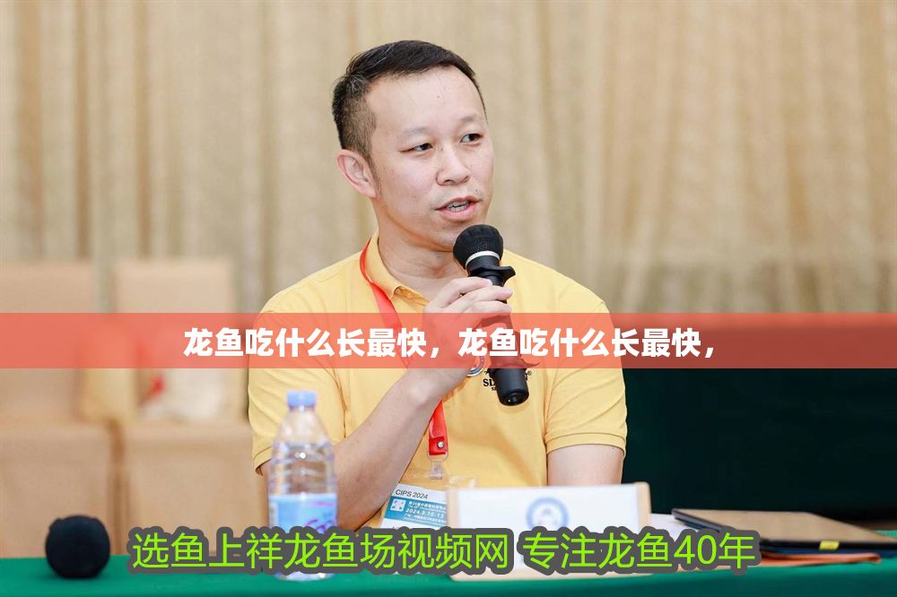 龍魚吃什么長最快，龍魚吃什么長最快，