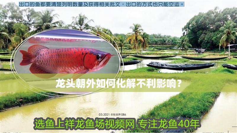 龍頭朝外如何化解不利影響？