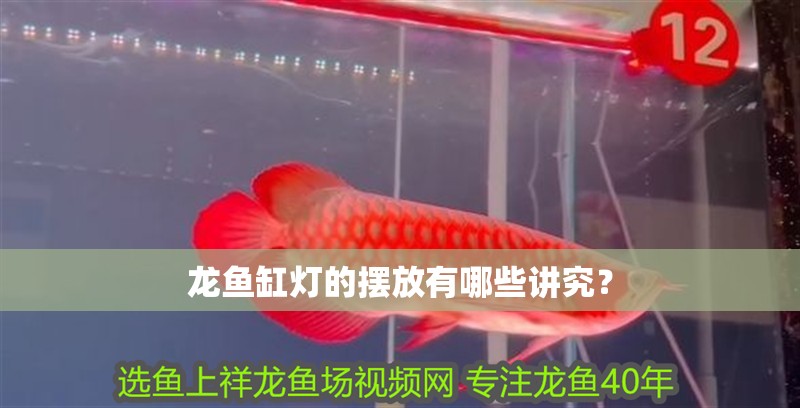 龍魚缸燈的擺放有哪些講究？ 龍魚缸燈的擺放有哪些講究？ 龍魚百科