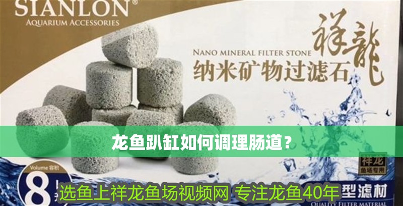 龍魚趴缸如何調(diào)理腸道？