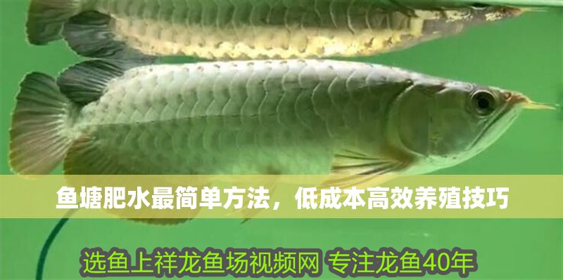 魚塘肥水最簡單方法，低成本高效養(yǎng)殖技巧