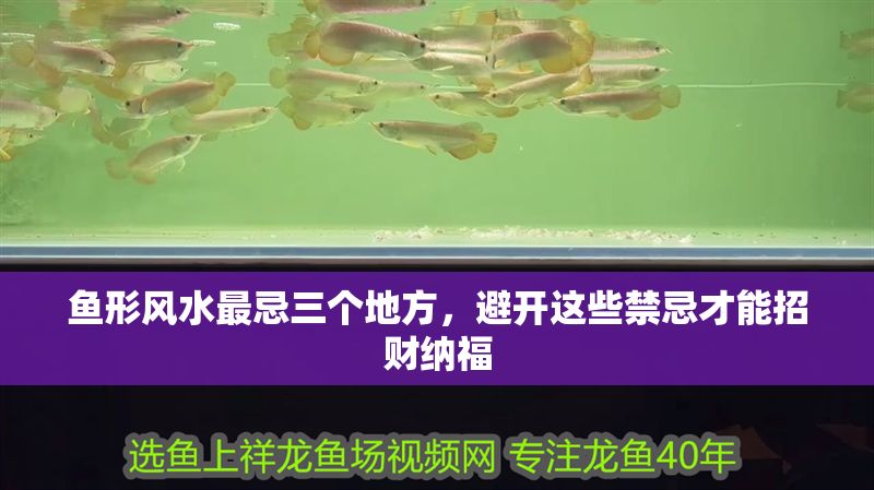 魚形風水最忌三個地方，避開這些禁忌才能招財納福