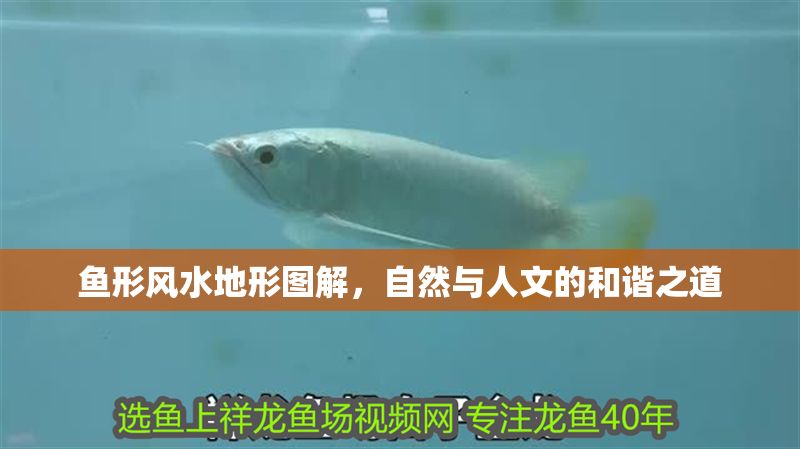 魚形風水地形圖解，自然與人文的和諧之道