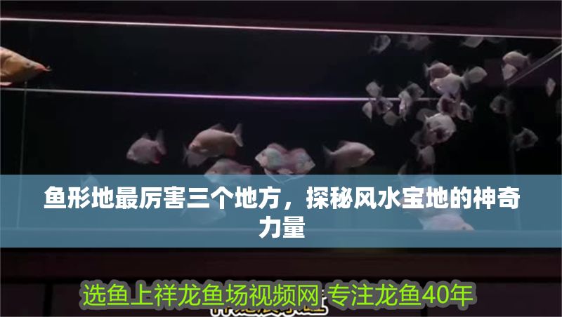 魚形地最厲害三個地方，探秘風(fēng)水寶地的神奇力量