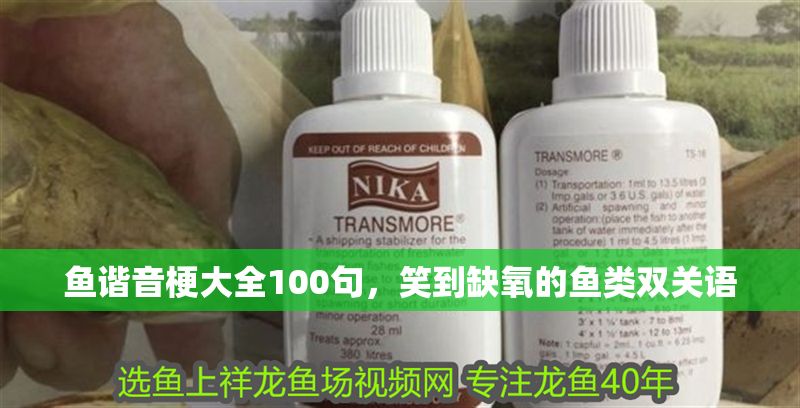 魚諧音梗大全100句，笑到缺氧的魚類雙關語